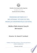 libro Síndrome Metabólico Y Melatonina: Estudio De Dos Modelos Experimentales En Ratas